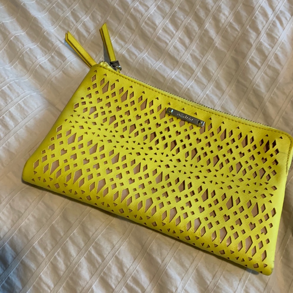 Stella and Dot Clutch Bag